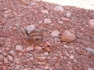 Valley of Fire