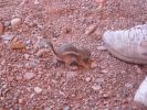 Valley of Fire