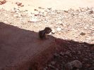 Valley of Fire