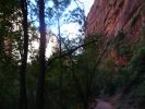 Zion NP
