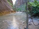 Zion NP (The Narrows)