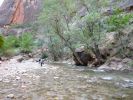 Zion NP (The Narrows)