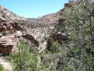 Zion NP