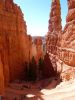 Bryce Canyon NP (Navajo Trail)