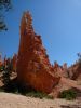 Bryce Canyon NP (Navajo Trail)