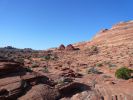 Coyote Buttes