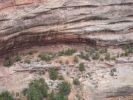 Natural Bridges NM