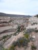 Natural Bridges NM