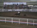 Rodeo in Cody, Wyoming