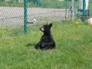 Tierpark Bear Country U.S.A.