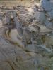 Mammoth Site in Hot Springs, South Dakota