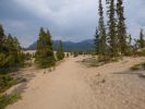 Carcross Desert