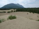 Carcross Desert