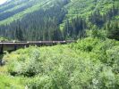Fahrt mit der White Pass & Yukon Railroad