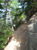 Trail in Skagway