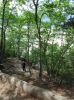 Trail in Skagway