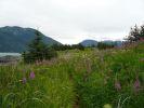 Battery Point Trail