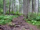 Battery Point Trail