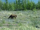 Kluane NP