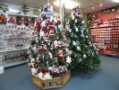 North Pole