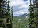 Denali NP