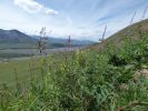 Denali NP