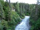 Winner Creek Trail