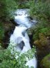 Winner Creek Trail
