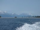 Whale Watching Major Marine Tours