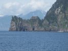 Whale Watching Major Marine Tours