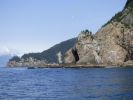 Whale Watching Major Marine Tours