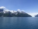 Whale Watching Major Marine Tours