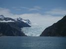 Whale Watching Major Marine Tours