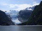 Whale Watching Major Marine Tours