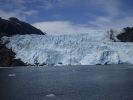 Whale Watching Major Marine Tours