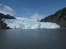 Whale Watching Major Marine Tours