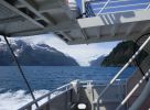 Whale Watching Major Marine Tours