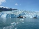 Whale Watching Major Marine Tours
