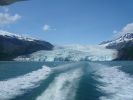 Whale Watching Major Marine Tours