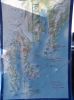 Whale Watching Major Marine Tours