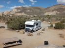 Joshua Tree NP