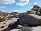 Joshua Tree NP