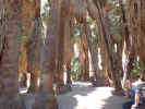 Indian Canyons