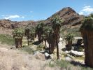 Indian Canyons