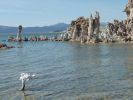 Mono Lake