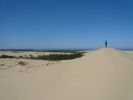 Oregon Dunes