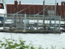 Amerika_2013_189.JPG