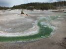 Yellowstone