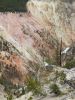 Yellowstone