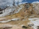 Yellowstone